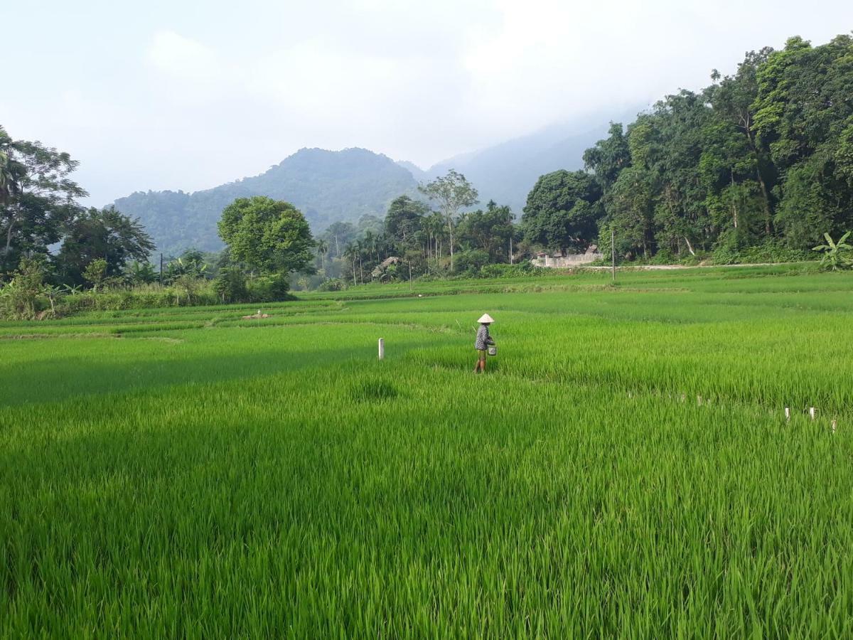 Ha Giang Faithien Homestay Luaran gambar